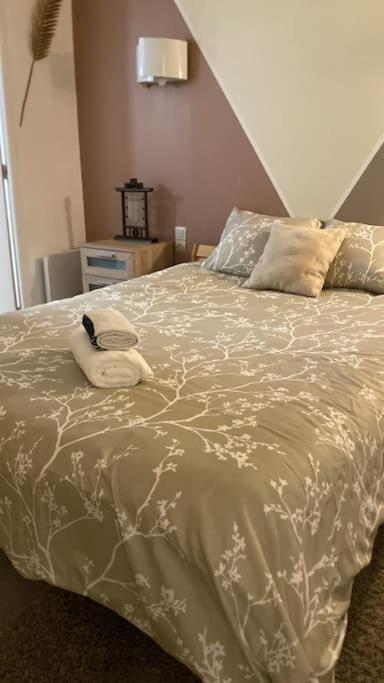 Le Jardin Secret De Nady Apartman Carcassone Kültér fotó